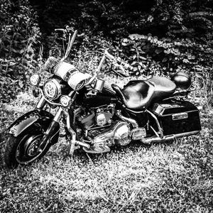 Meet your Posher, Cody